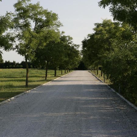 Relais Agrituristico Ormesani Villa San Liberale ภายนอก รูปภาพ