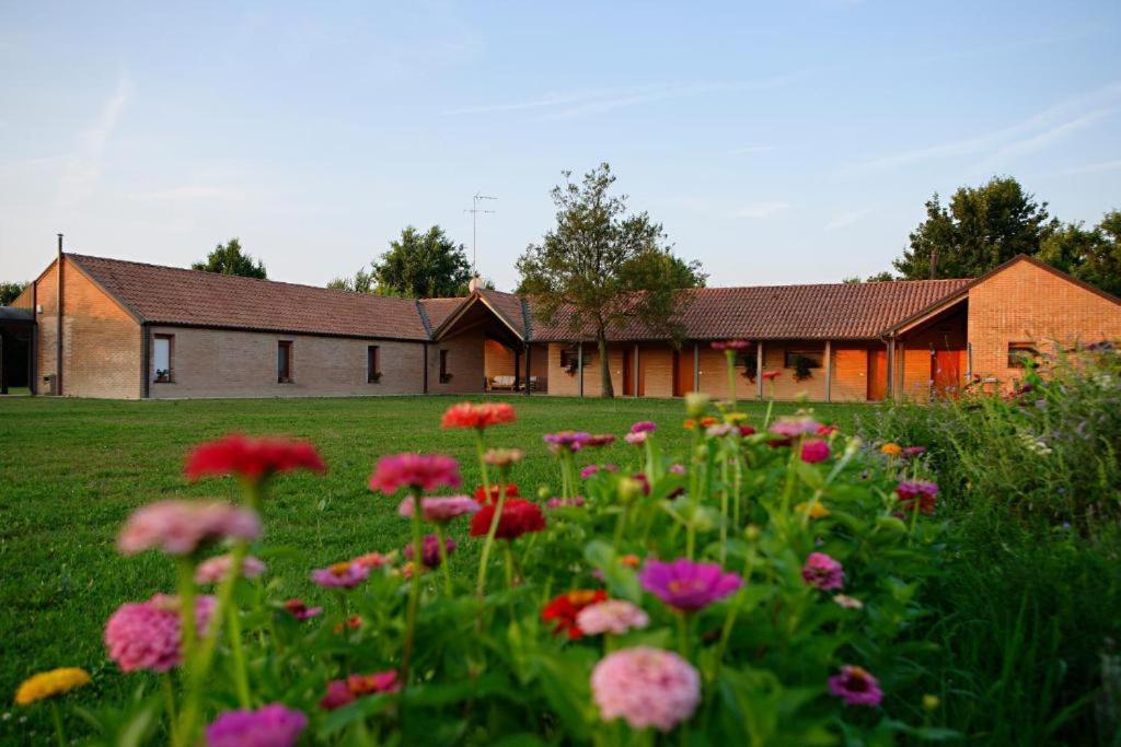 Relais Agrituristico Ormesani Villa San Liberale ภายนอก รูปภาพ